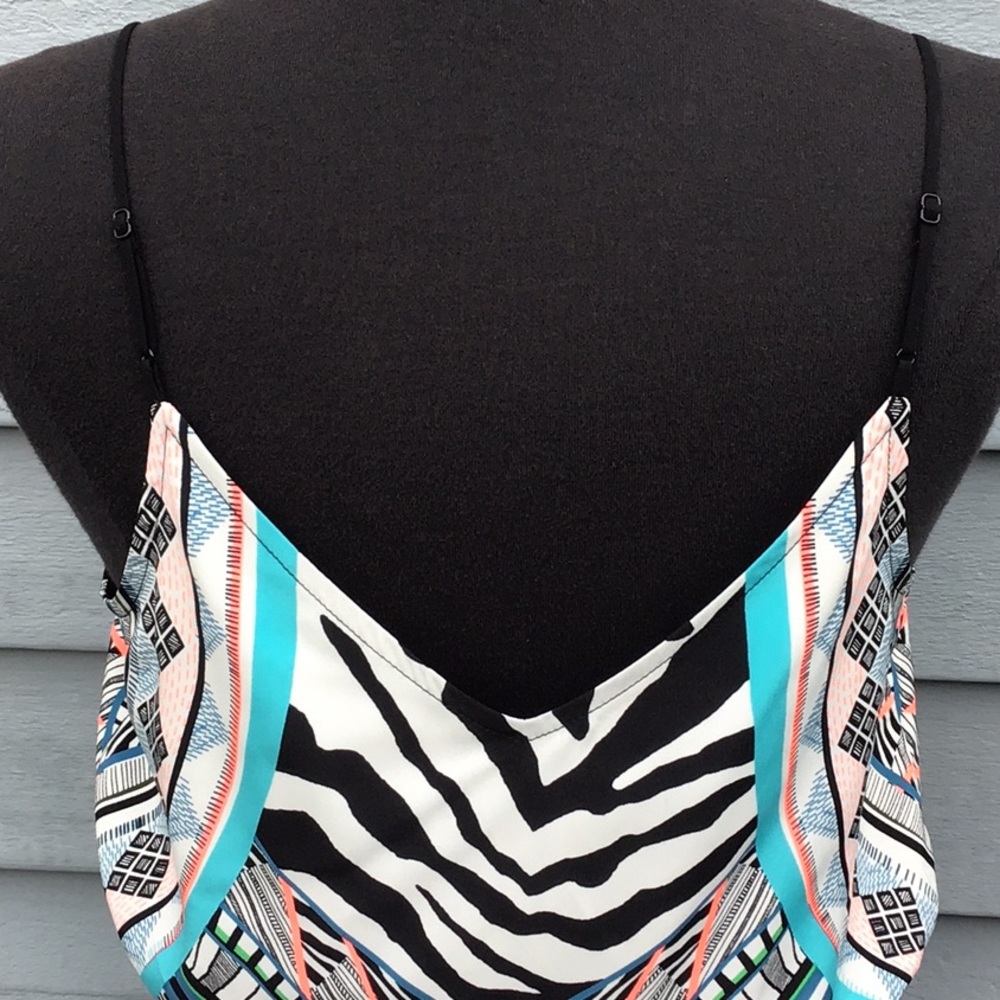 Express Multi Color Zebra Print Dress - image 6